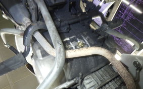 HONDA C110 SUPER CUB 2019