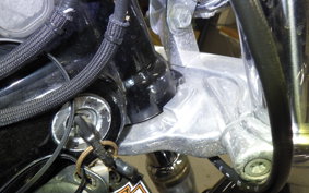 HARLEY FXDL 1580 2010