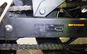 KAWASAKI NINJA 250 EX250P