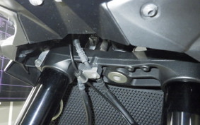 KAWASAKI ZH2 2021 ZRT00K