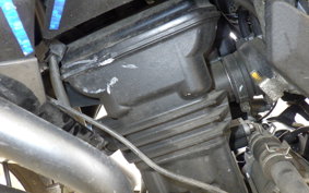 KAWASAKI VERSYS X250 A LE250D