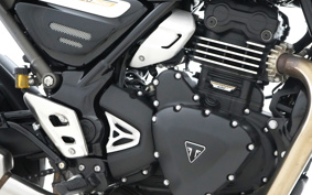 TRIUMPH SPEED 400 2024 T127Y8