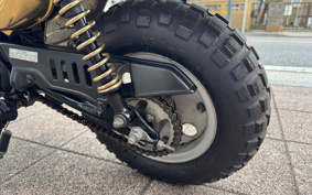 HONDA MONKEY Z50J