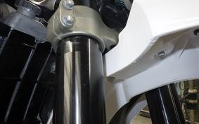 YAMAHA WR250X 2009 DG15J