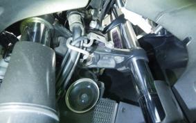 KAWASAKI NINJA 250 SL