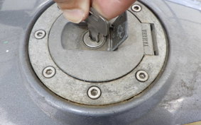 YAMAHA RZ250R 29L