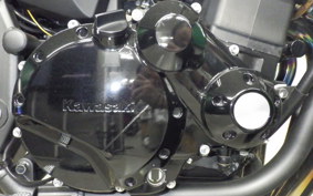 KAWASAKI ZRX1200 D 2019 ZRT20D