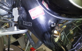 YAMAHA VIRAGO 250 2014 3DM