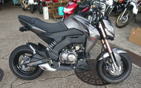 KAWASAKI Z125 PRO BR125H