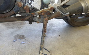 KAWASAKI GPX250R 2024 EX250E