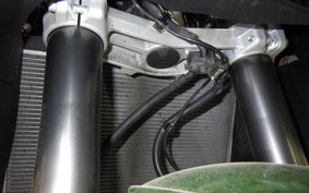 KAWASAKI NINJA 1000 SX 2021 ZXT02K