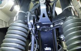 KAWASAKI W800 STREET 2021 EJ800B