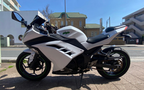KAWASAKI NINJA 250 EX250L