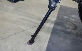 OTHER UNREGISTERED MODEL by BDS250 2021