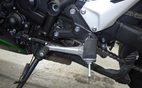 KAWASAKI NINJA H2 SX SE 2019 ZXT02A