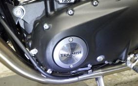 TRIUMPH SPEED TWIN 2024