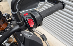 TRIUMPH TIGER 900 RALLY PRO 2024 TRE67D