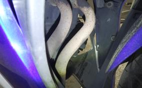 YAMAHA YZF-R25 2008 RG10J