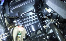 KAWASAKI VERSYS X250 A LE250D