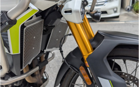 TRIUMPH TIGER 900 RALLY PRO 2024 TRE67D