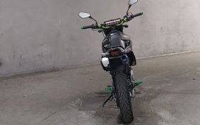 KAWASAKI D-TRACKERX LX250V