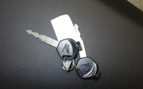 HONDA TACT-4ﾍﾞｰｼｯｸ AF79