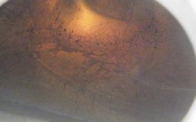 HONDA CBR250RR 2018 MC22