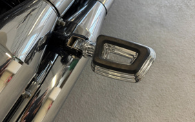 HARLEY  HARLEY FLFBS 2024 YGK