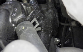 HONDA TACT Gen.4 2009 AF79
