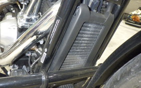 HARLEY FXST1750 2021