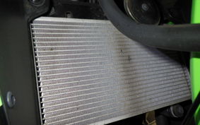 KAWASAKI NINJA 250R 2014 EX250K