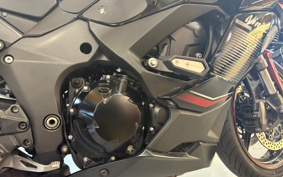 KAWASAKI NINJA 1000 SX 2022 ZXT02K