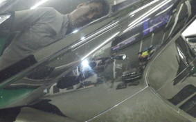 YAMAHA MAXAM 250 2003 SG21J