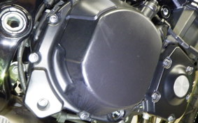 KAWASAKI Z900RS 2021