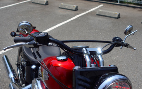 HARLEY FLS 2012 JR5