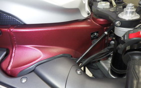 YAMAHA YZF-R1 2010 RN24J