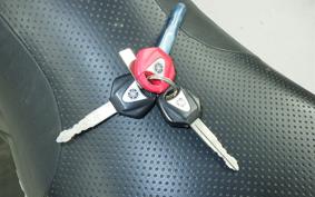 YAMAHA XJR1300 Gen.2 2007 RP17J