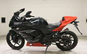 KAWASAKI NINJA 250R 2010 EX250K