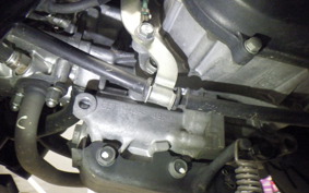 HONDA ZOOMER AF58