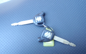 SUZUKI SKYWAVE 250S-1 CJ43A