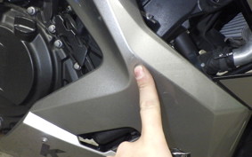 KAWASAKI NINJA 250 EX250P