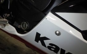 KAWASAKI NINJA 400 2022 EX400G