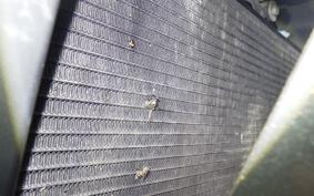 SUZUKI BANDIT 1250 F 2011 GW72A