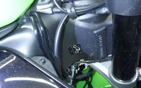 KAWASAKI NINJA ZX-6R A 2021 ZX636G