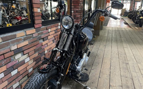 HARLEY FLSTSB 2009 JM5