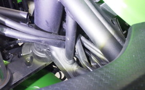 KAWASAKI NINJA 250 2013 EX250P