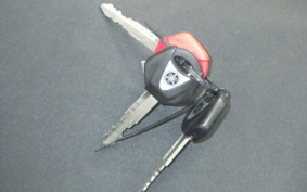 YAMAHA MT-09 SP 2021 RN69J