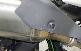 KAWASAKI ZX-4RR 2024 ZX400P