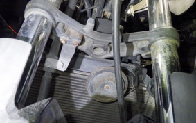 KAWASAKI NINJA 250R 2008 EX250K