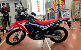 HONDA CRF250 RALLY MD44